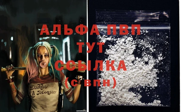 экстази Медвежьегорск