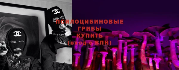 ПСИЛОЦИБИНОВЫЕ ГРИБЫ Мегион