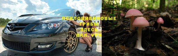 соль ск Магадан
