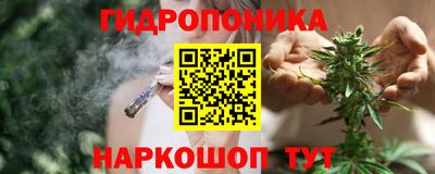 прущие грибы Ипатово