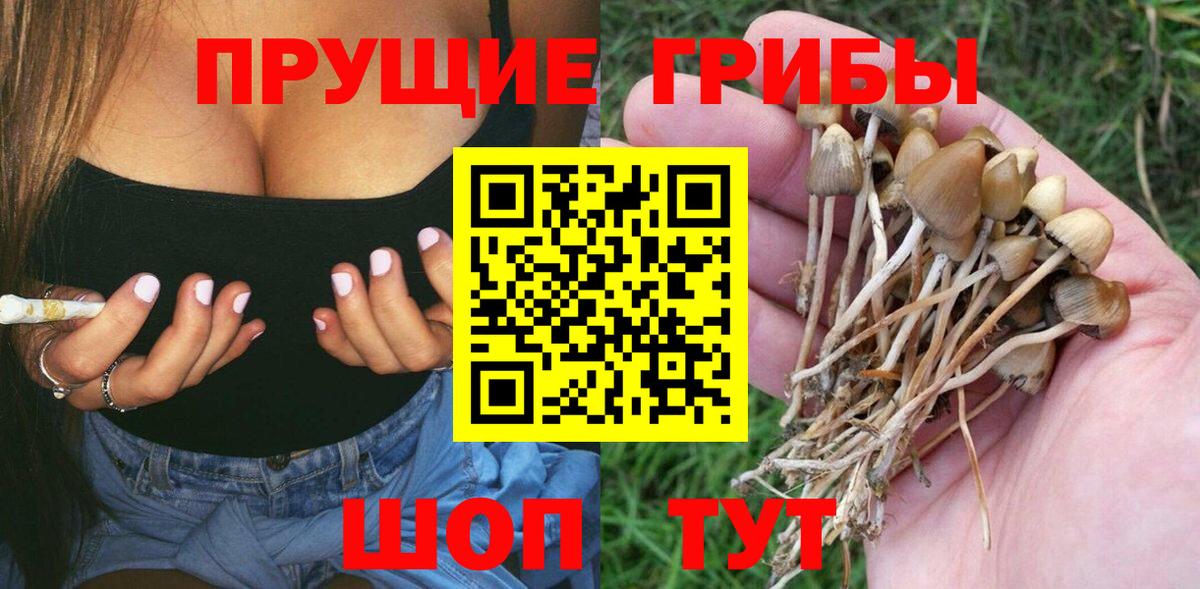 Псилоцибиновые грибы Magic Shrooms  Вход с VPN  Луховицы 