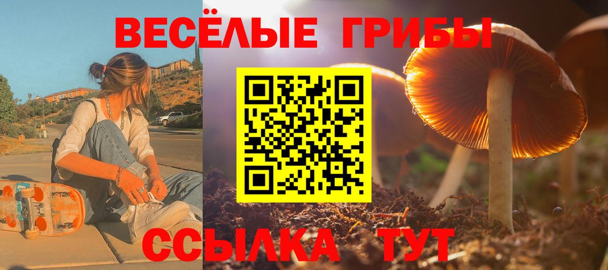 Галлюциногенные грибы MAGIC MUSHROOMS Луховицы